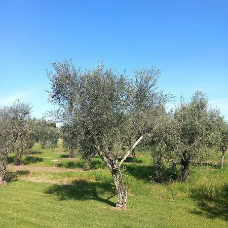 Дом отдыха Dimora San Giorgio Матино