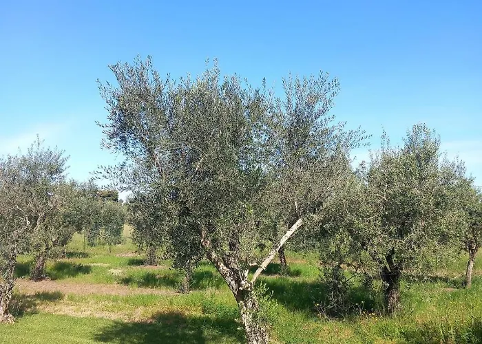 Сasa de vacaciones Dimora San Giorgio Matino